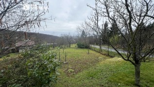 zahrada-prodej-bosonohy-06