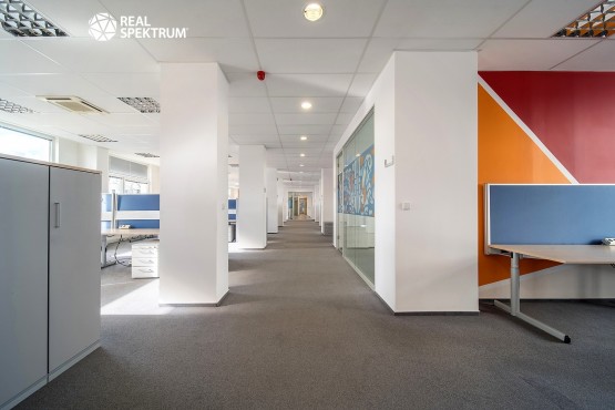 Purkynova99_SmallSize_18