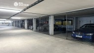 IMG_0833