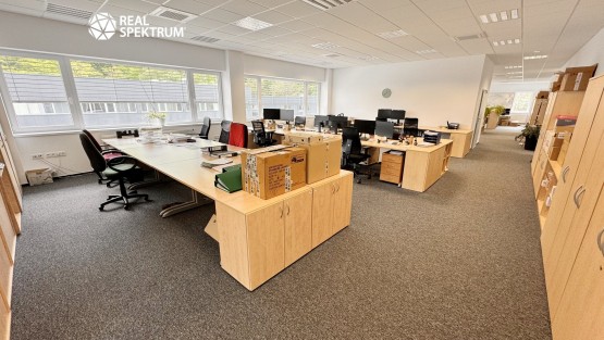 pronajem-kancelare-karasek_11