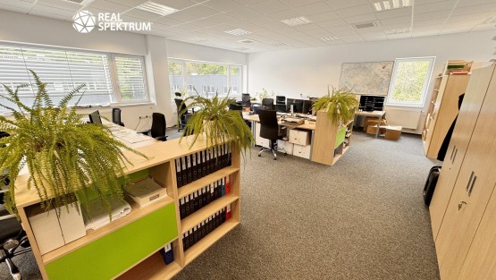 pronajem-kancelare-karasek_05