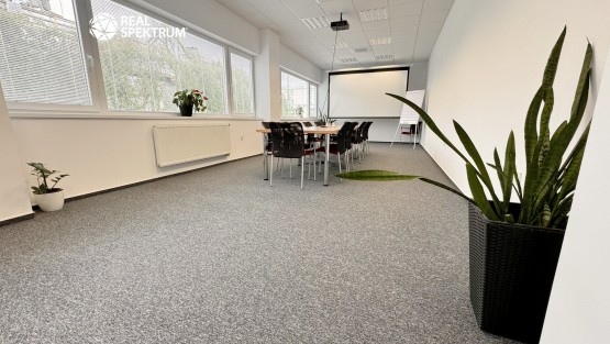 pronajem-kancelare-karasek_14