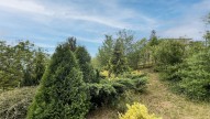 chata-prodej-dolni-kounice-20