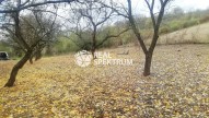 IMG_20231102_120901