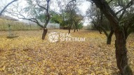 IMG_20231102_120724