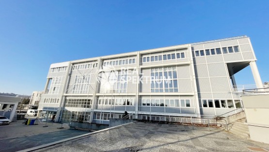 pronajem-BVV-kongres_06