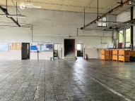 IMG_5424
