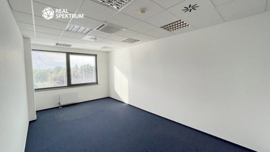 Pronájem KA Londýnské nám._20