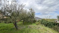 prodej-rodinny-dum-uhercice-24