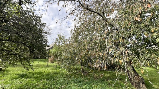 prodej-rodinny-dum-uhercice-20
