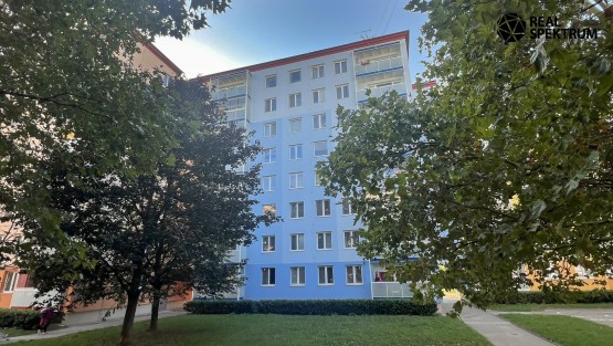 prodej-byt-1+1-Vlkova-18