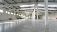 Detail: Pronájem skladu 2000 m2