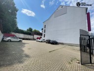IMG_4411