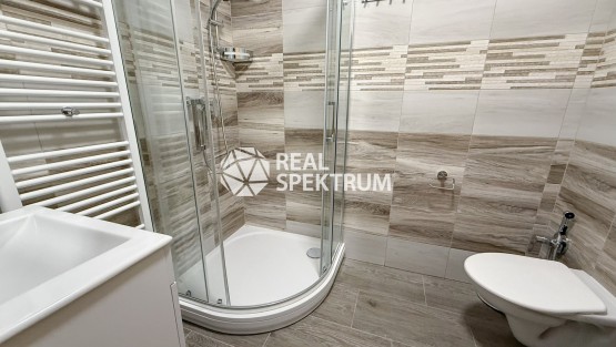 byt_pronajem_palackeho_trida_1kk_06