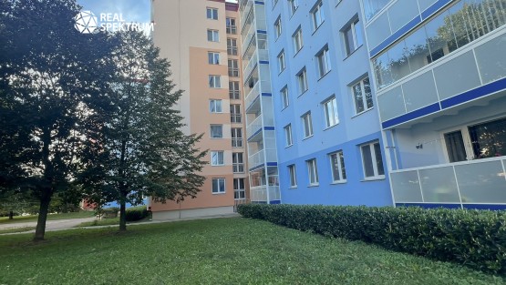prodej-byt-1+1-Vlkova-15