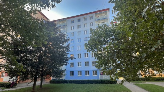 prodej-byt-1+1-Vlkova-18