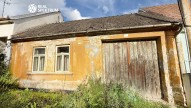 IMG_1555