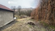 IMG_8764