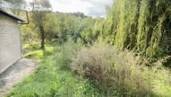 IMG_1556