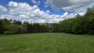 IMG_5905