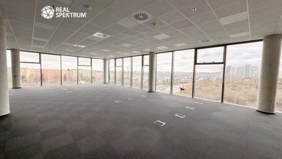 Pronájem_Campus_08