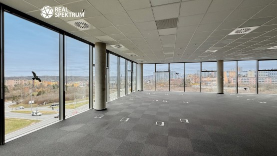 Pronájem_Campus_12