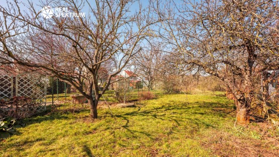 RS I U lesicka 11, Turany-46