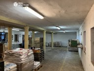 IMG_6716