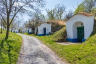 AdobeStock_349904540
