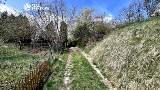 Prodej_chata-Bílovice_n_Svitavou_04
