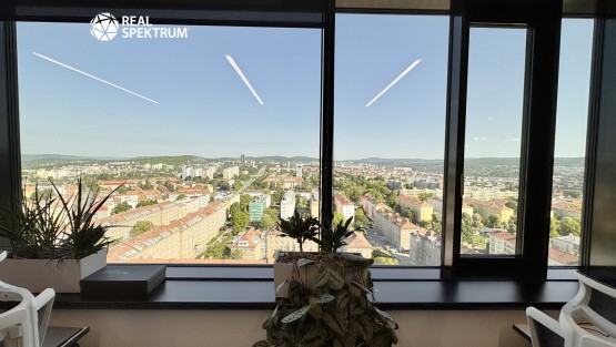 pronajem_kancelar_sumavska_tower_01