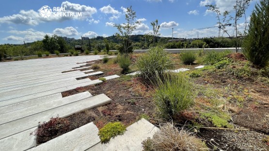 Kancelar-pronajem-Karlova-Hrda-07