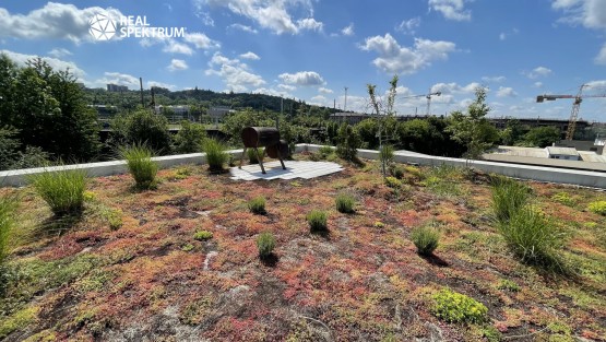 Kancelar-pronajem-Karlova-Hrda-08