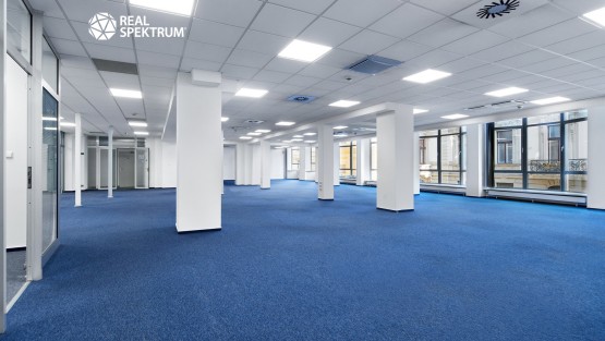 Magnum Masarykova (9)