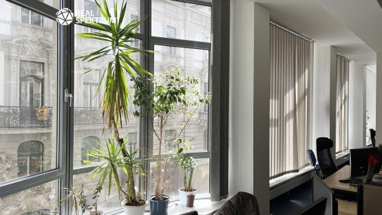 pronajem_kancelar_masarykova_11