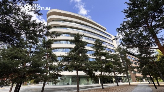 pronajem_kancelare_vlnena_11