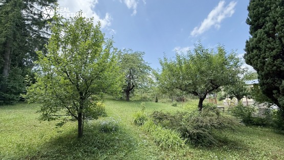 Prodej chaty Líšeňská_13