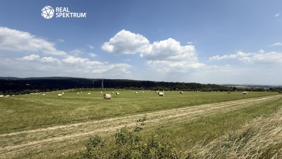 Prodej chaty Líšeňská_22