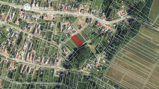 Litobratčice_05