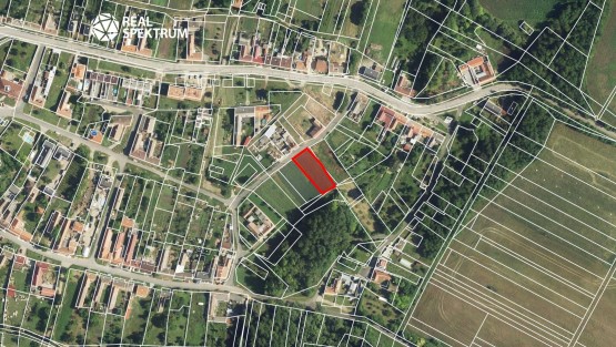 Litobratčice_04