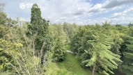 pronajem_byt_arbesova_29