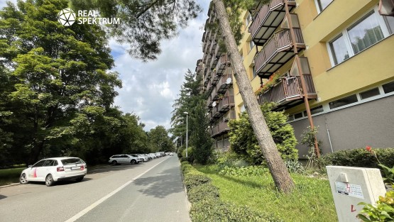 pronajem_byt_arbesova_36