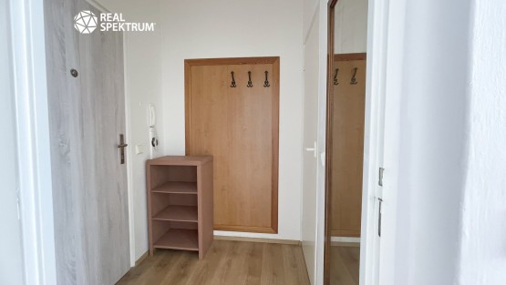 pronajem_byt_arbesova_17