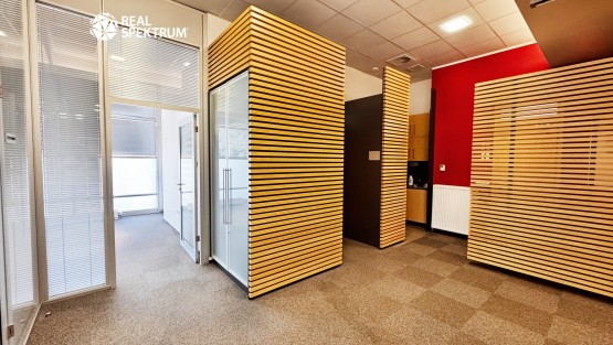 pronájem_ka_Křižíkova_11