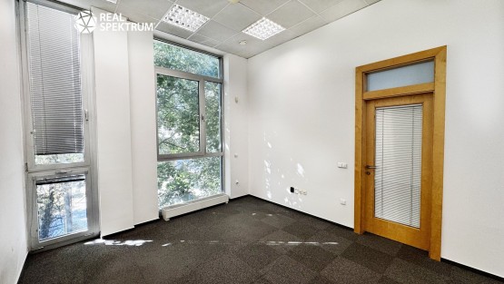 pronájem_ka_Křižíkova_16