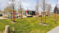 IMG_E4576