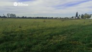 IMG_20231026_104930