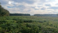 IMG_20231026_104802