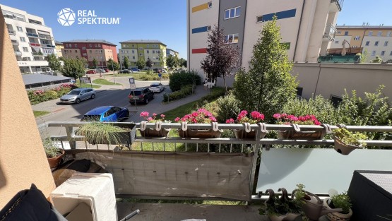 Pronájem bytu 2+kk_11
