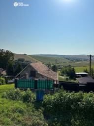 IMG_0146